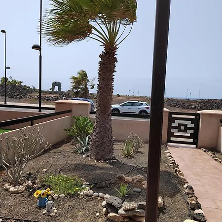 Adam Origo Mare Lajares